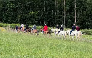 Caballos para adaptarse la vida después de prisión