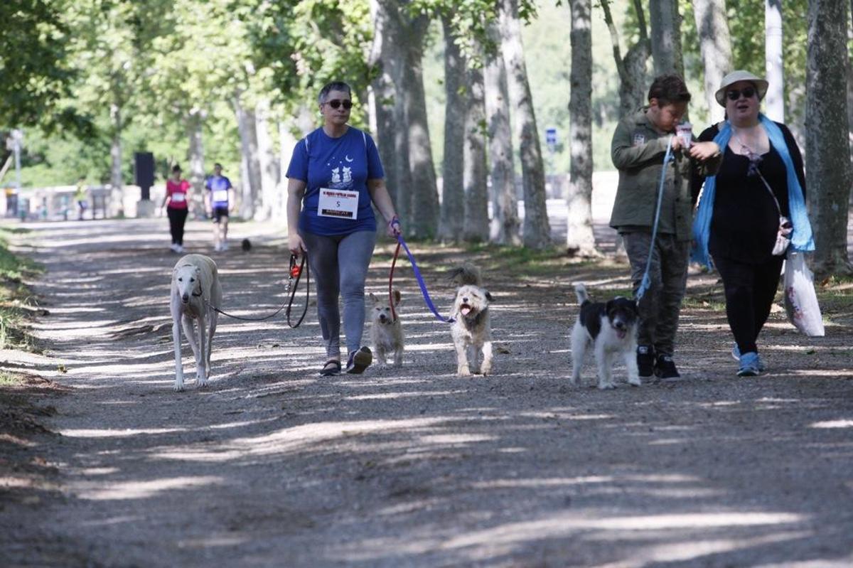 I Marxa Solidària Canina de Diari de Girona I Marxa Solidària Canina de Diari de Girona