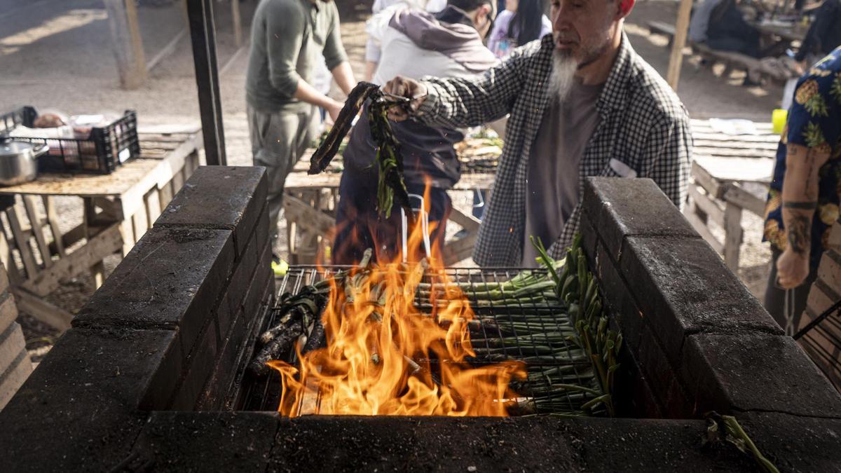 Un home fent calçots a Mas Portell