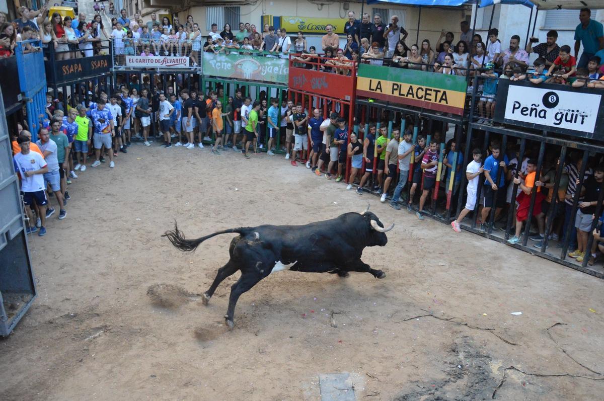 Tercer toro de la tarde.