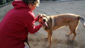 Una dueña con su perro en un parque de Santa Coloma.