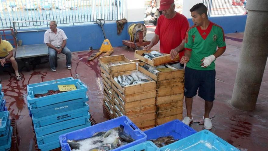 Visitas para conocer la vida en la mar