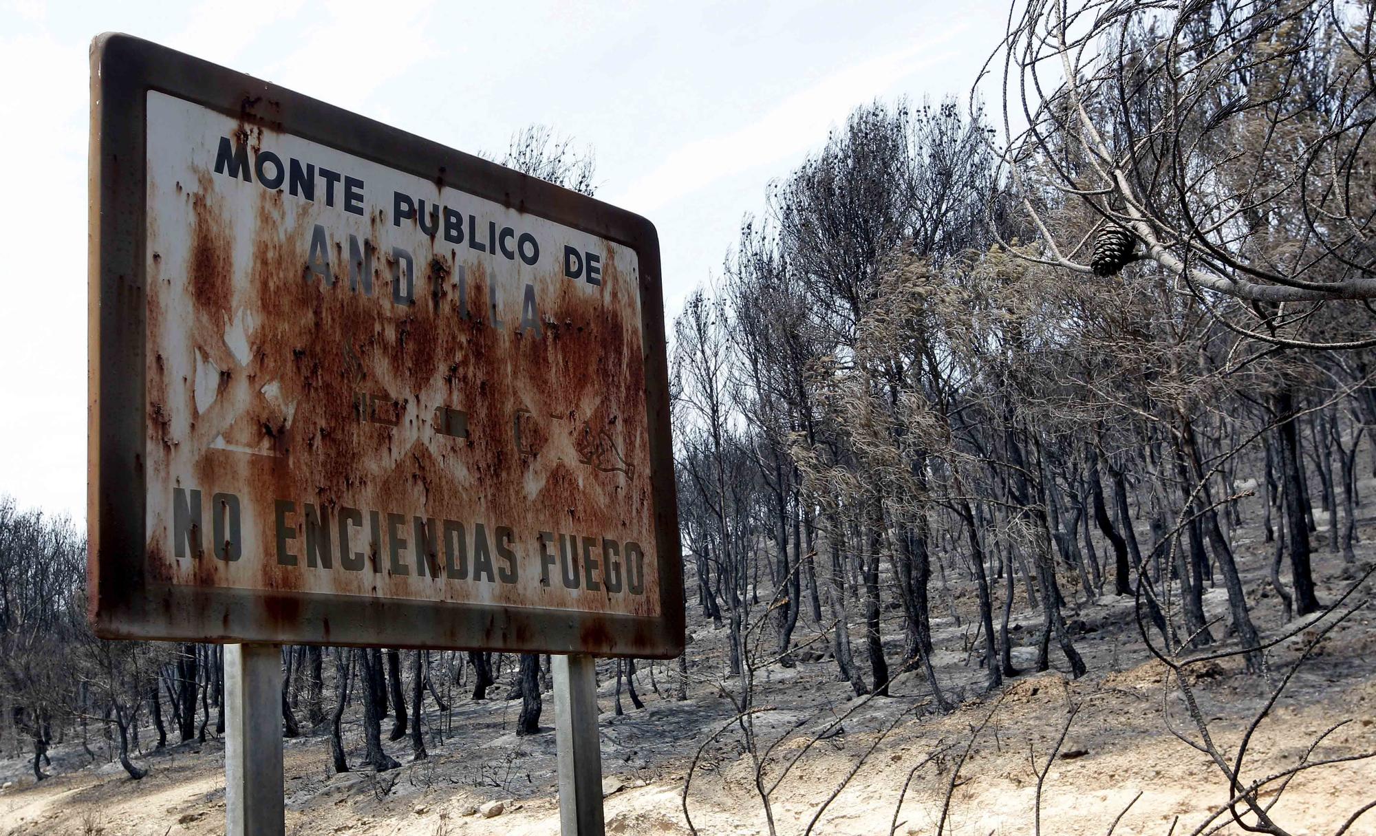 10 años del infierno de Andilla y Cortes de Pallás.