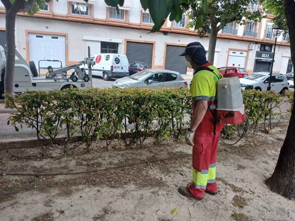 Trabajos de fumigación en el Parc Pere Crespí de Alzira.