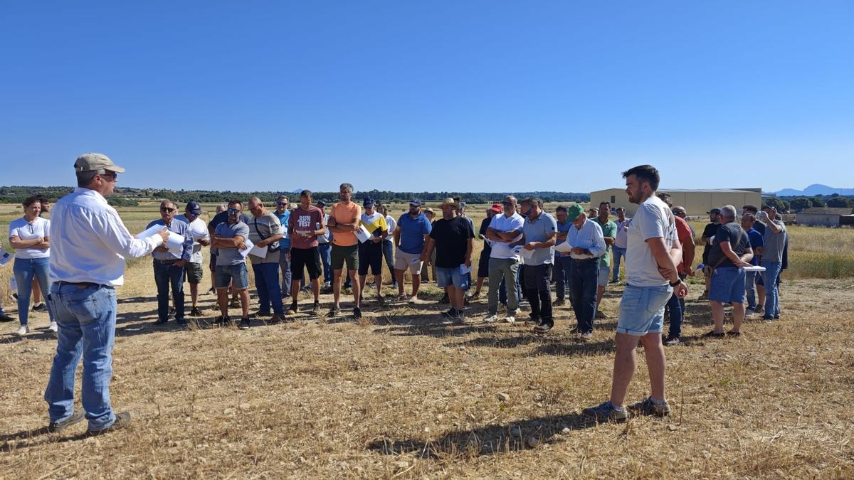 FOTOS | El campo experimental de cereales y forrajes en Maria, en imágenes