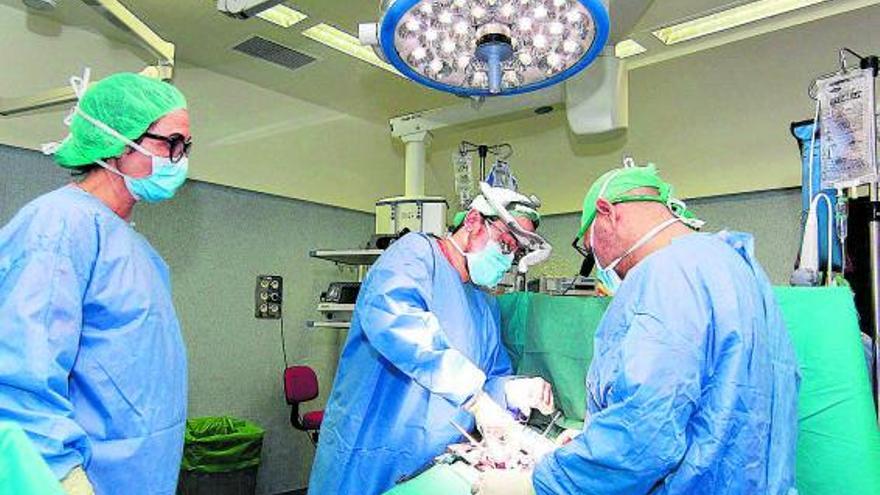 El recién implantado trasplante hepático cuesta 135.749 euros.