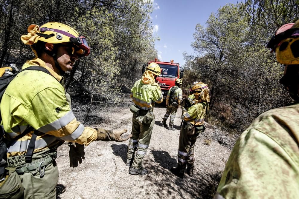 Incendio en La Torre de les Maçanes