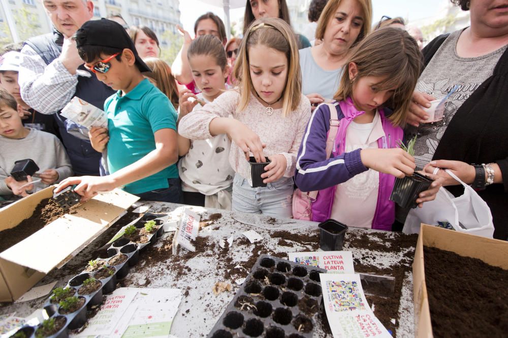 Trobada d'Escoles en Valencià en la plaza del Ayuntamiento