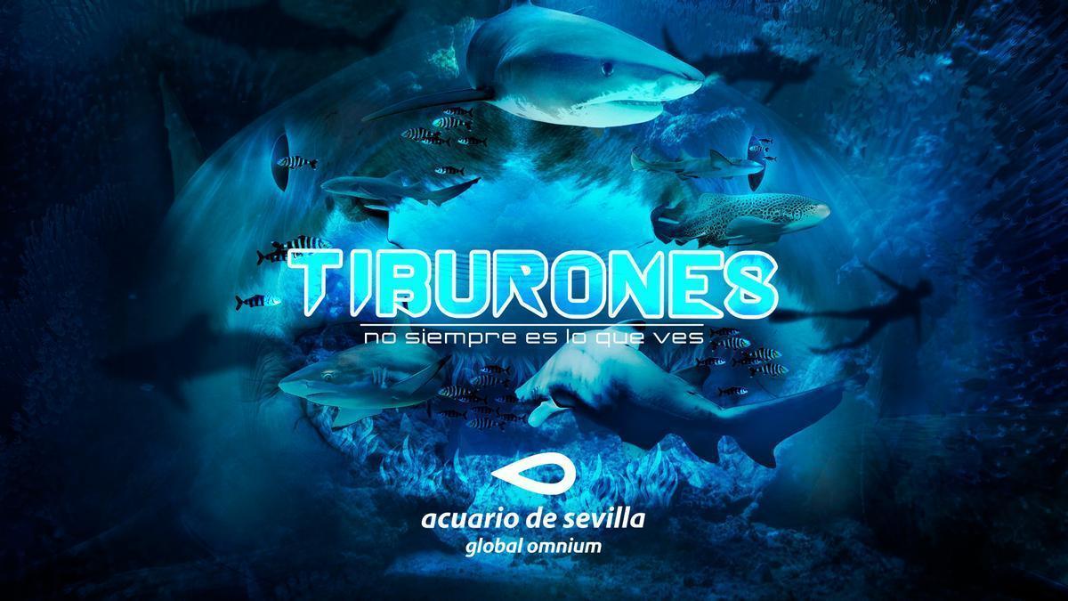 "Tiburones, no siempre es lo que ves" nueva exposición de Acuario de Sevilla.
