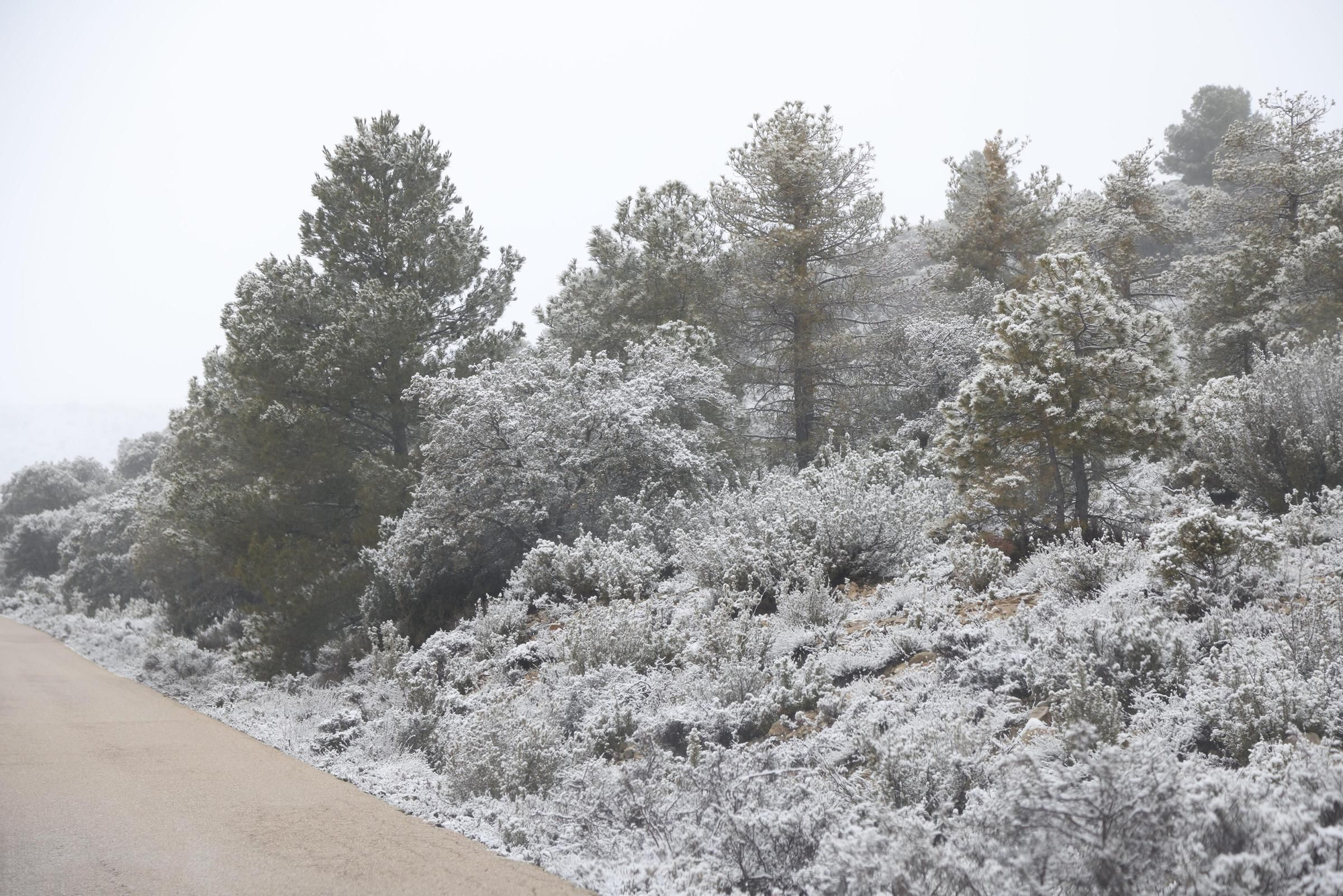 La espectacular nevada que ha teñido de blanco todo Inazares, en imágenes