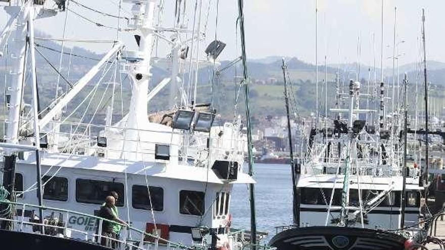 Arriban los primeros barcos con bonito