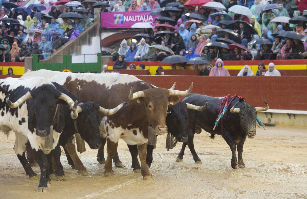 Feria de la Magdalena