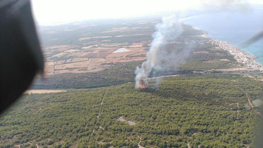 Waldbrand bei Son Serra de Marina zerstört 23 Hektar