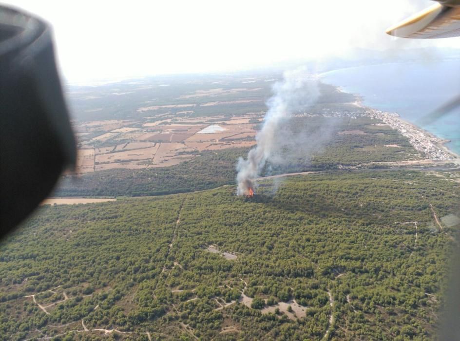 Im Gebiet von sa Canova im Nordosten von Mallorca ist am Mittwochnachmittag (17.8.) erneut ein Waldbrand ausgebrochen, nachdem es nur zwei Tage zuvor bereits gebrannt hatte. Das Feuer war gegen 2 Uhr nachts unter Kontrolle und zerstörte rund 23 Hektar Kiefernwald.