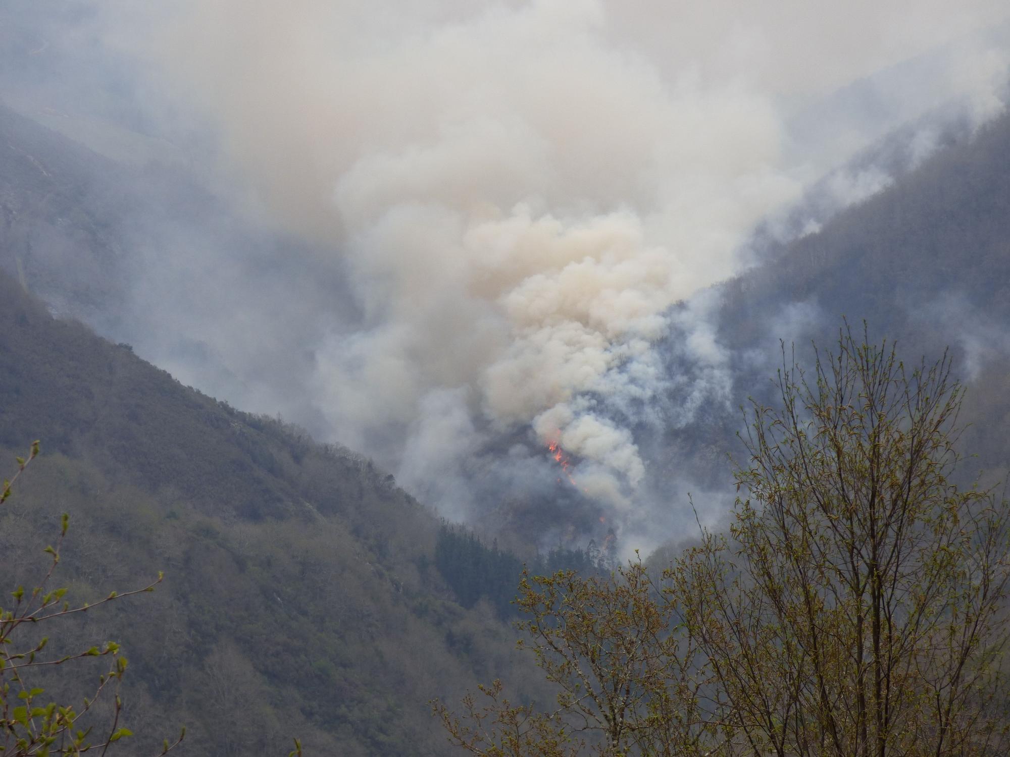 La lucha contra el fuego en los concejos de Tineo y Allande