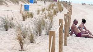 Zona acordonada. Barrones plantats al llarg d’una duna de la platja de Gavà