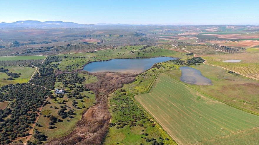 La Junta actualiza la ficha Ramsar de la Laguna de Tíscar y refuerza su proyección internacional