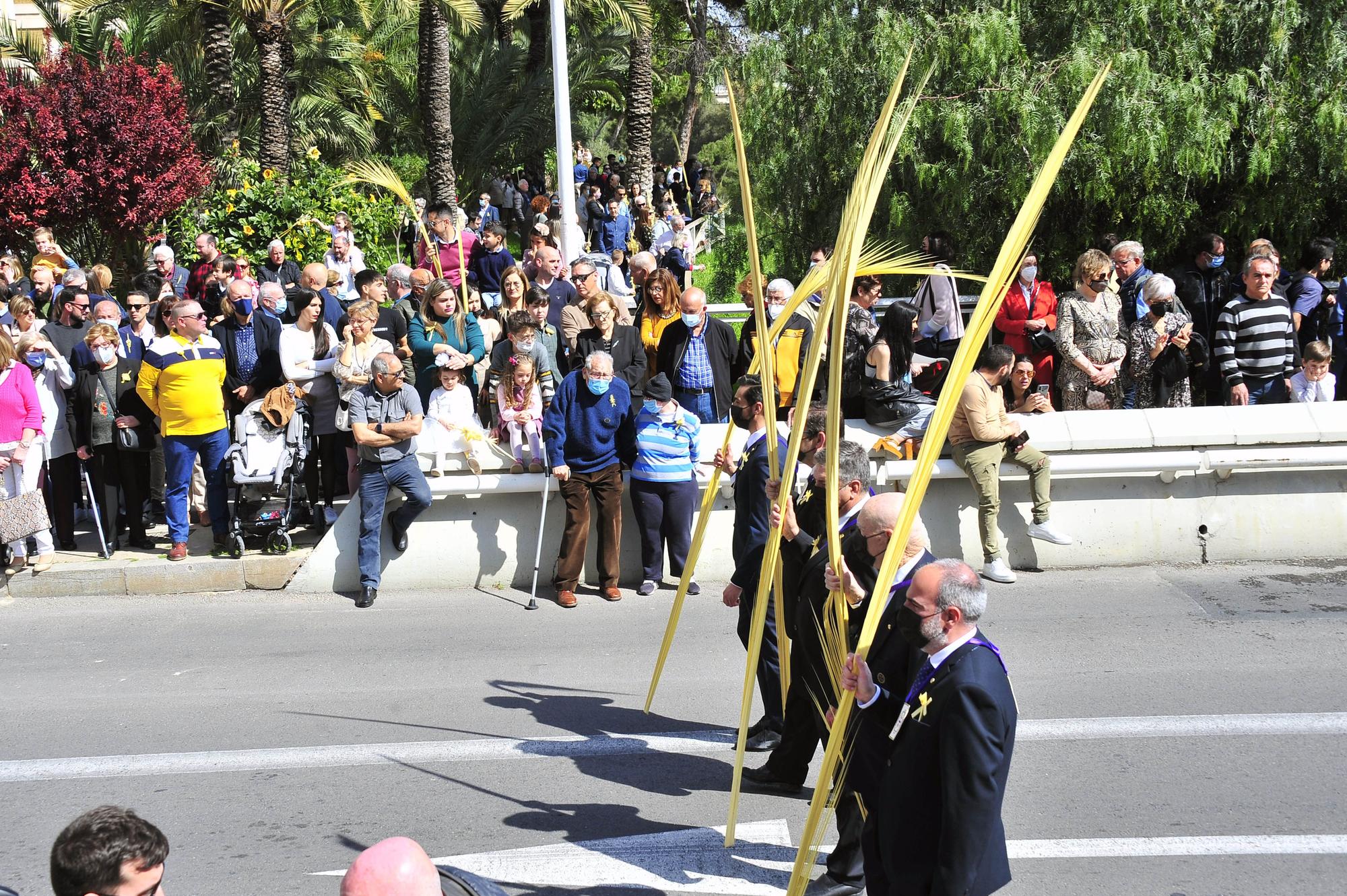 Domingo de Ramos en Elche