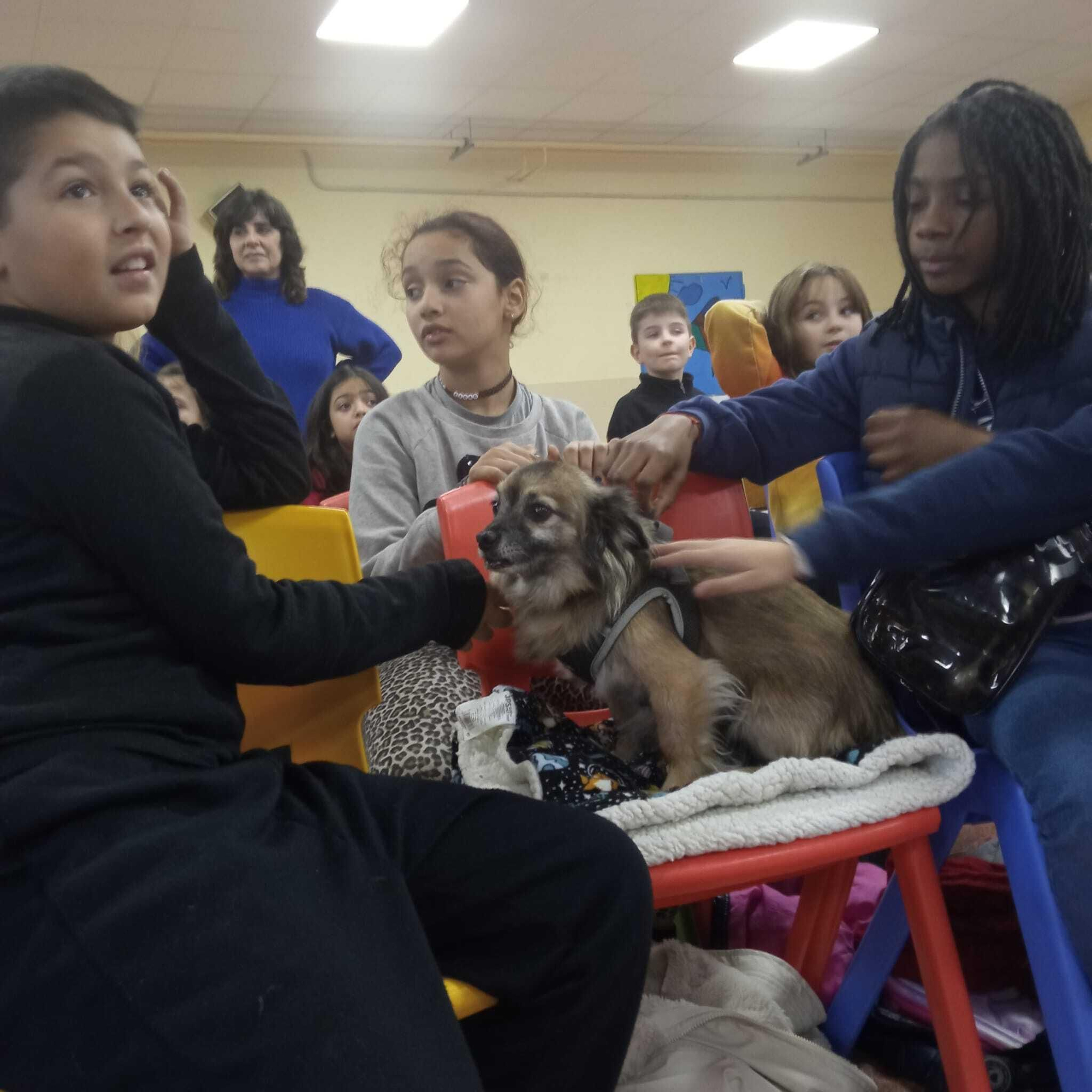 El taller para gestión de emociones con perros en el colegio Cervantes, en imágenes