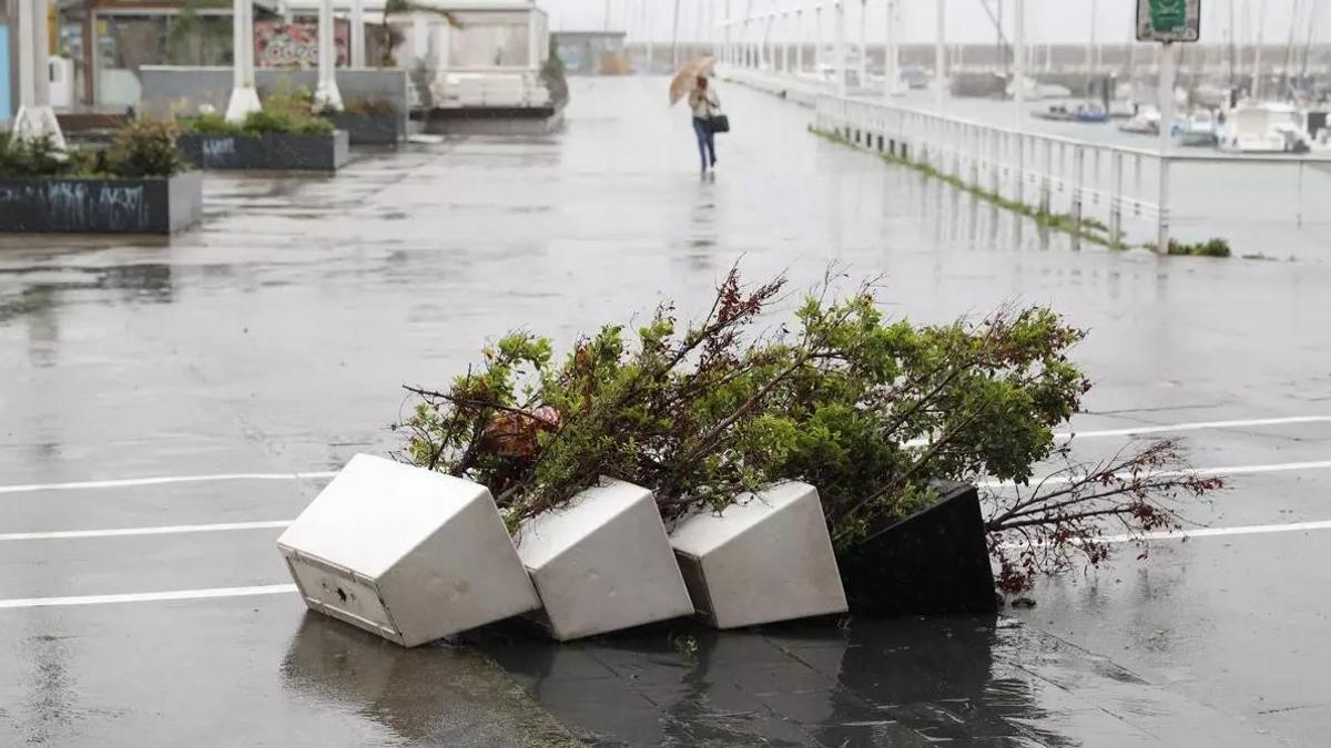 Efecto de un temporal de viento en Gijón. ARCHIVO