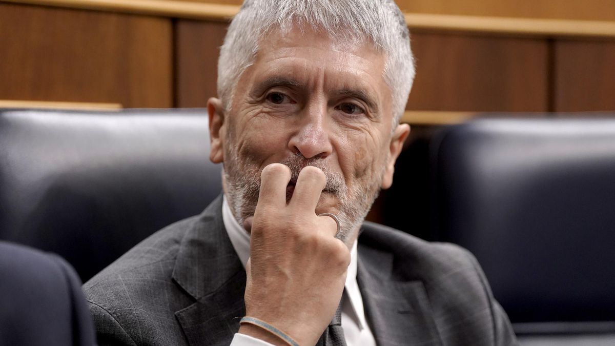 Fernando Grande-Marlaska, ministro de Interior, en el Congreso de los Diputados.