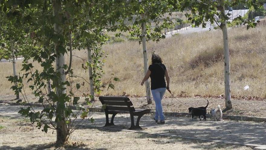 Quejas en Montesol por la abundancia de heces caninas en la calle Gavilanes