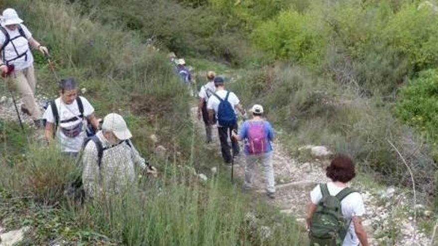 Una de las rutas organizadas por la asociación.