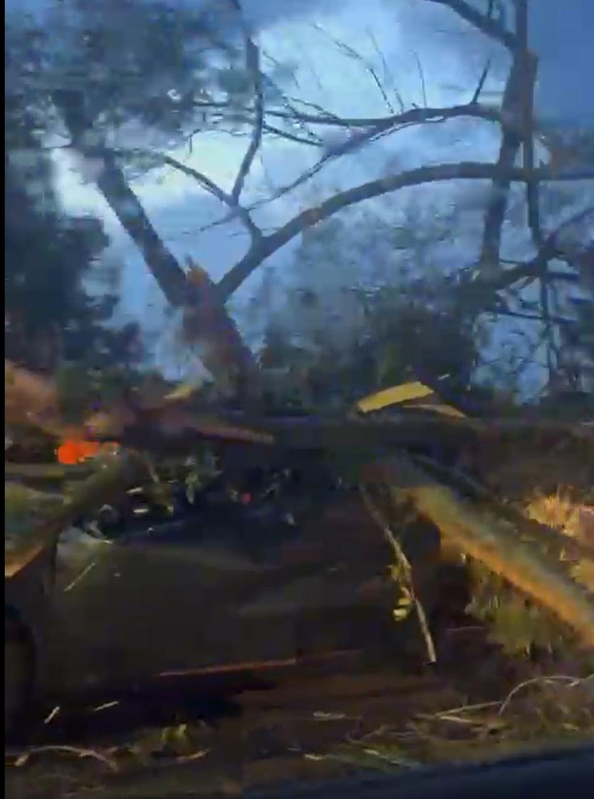 Captura de un vídeo a uno de los coches aplastados por un árbol en A Madalena, en Cangas.