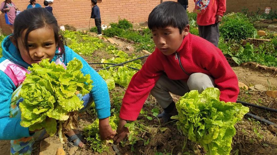 La Fundación Social Universal de Montilla propiciará la alimentación saludable en Bolivia