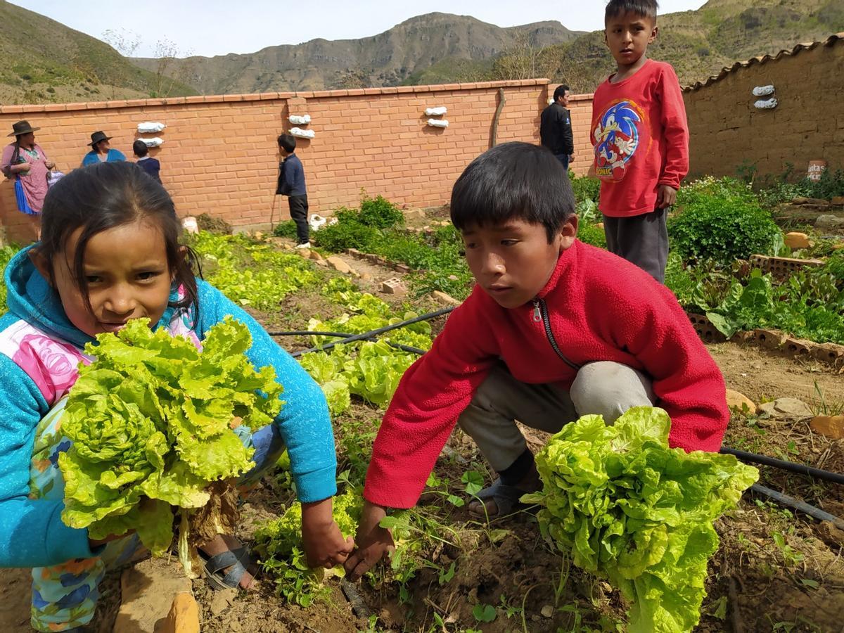La Fundación Social Universal de Montilla propiciará la alimentación saludable en Bolivia.