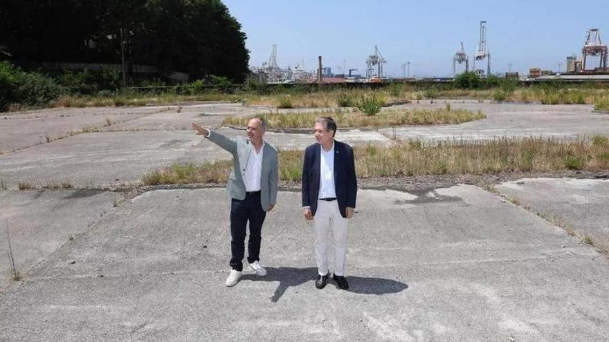 ¿Pondrá en riesgo el Vigo Arena la celebración de los conciertos de verano en Castrelos?