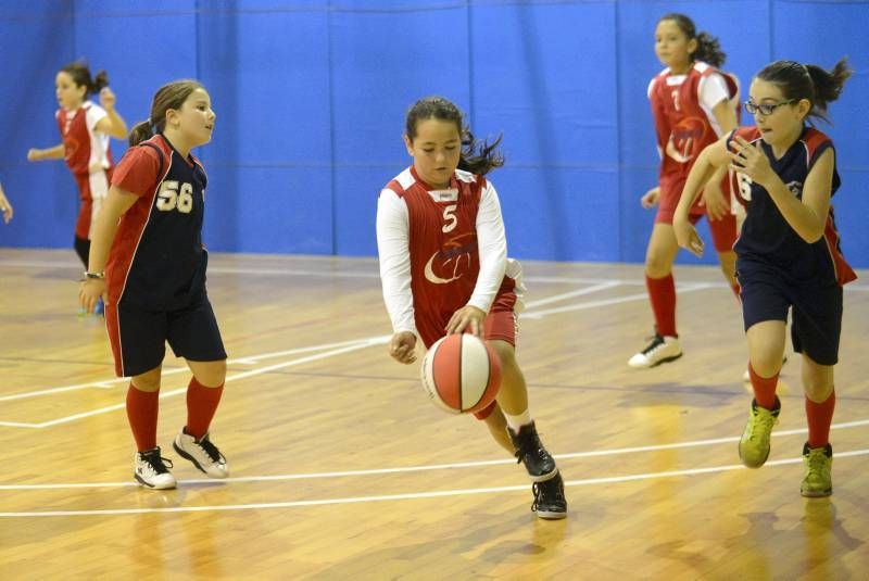 DÍA DEL MINIBASKET. Partidos de las 10:30 horas