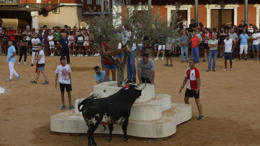 GALERIA | Así vivió Villalpando el XV Toro de la Juventud de Astauvi