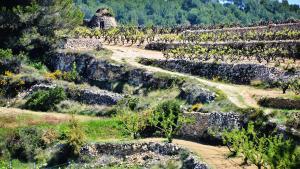 Subirats, montañas de Ordal.