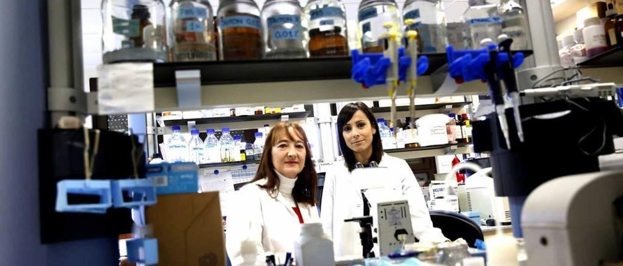 Ana Navarro Incio y Eva Martínez Pinilla, en los laboratorios del departamento de Biología Celular de la Facultad de Medicina.