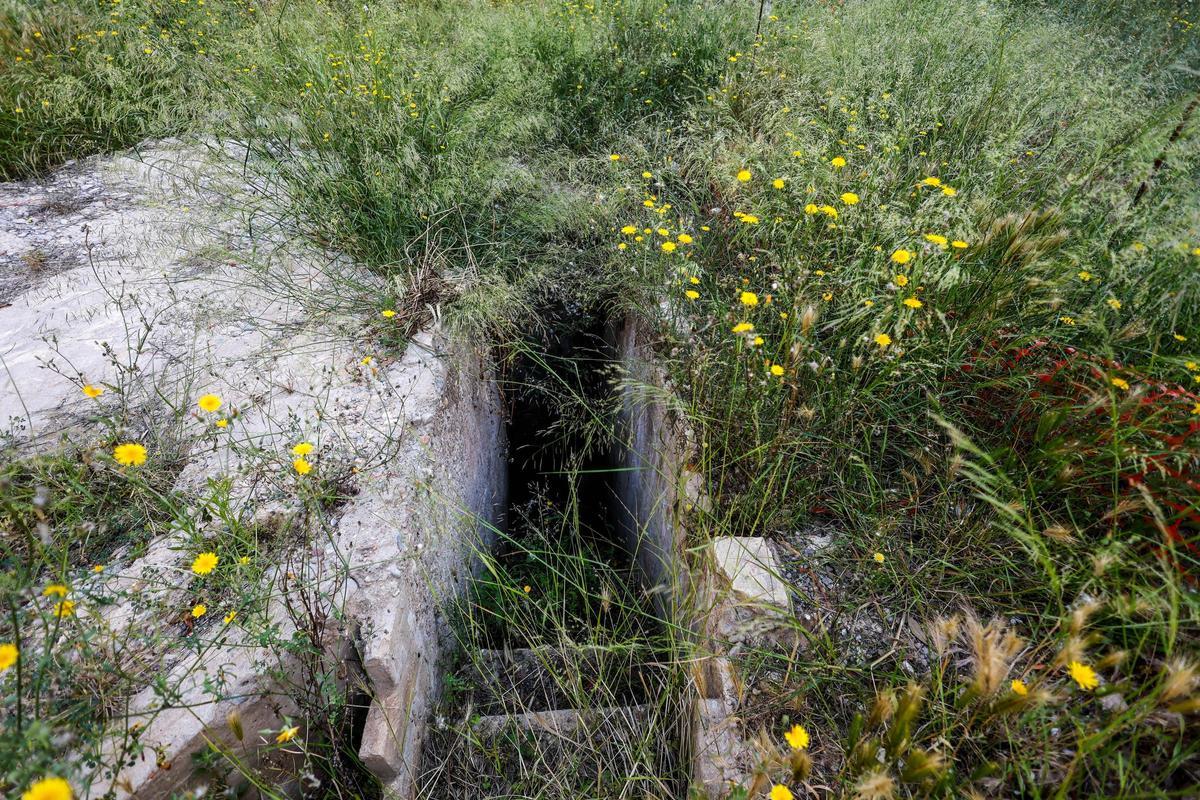 El Jardín Botánico de València está de moda