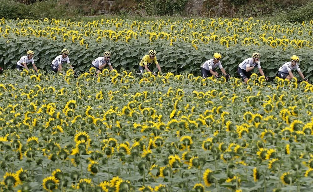 Desena etapa del Tour de França