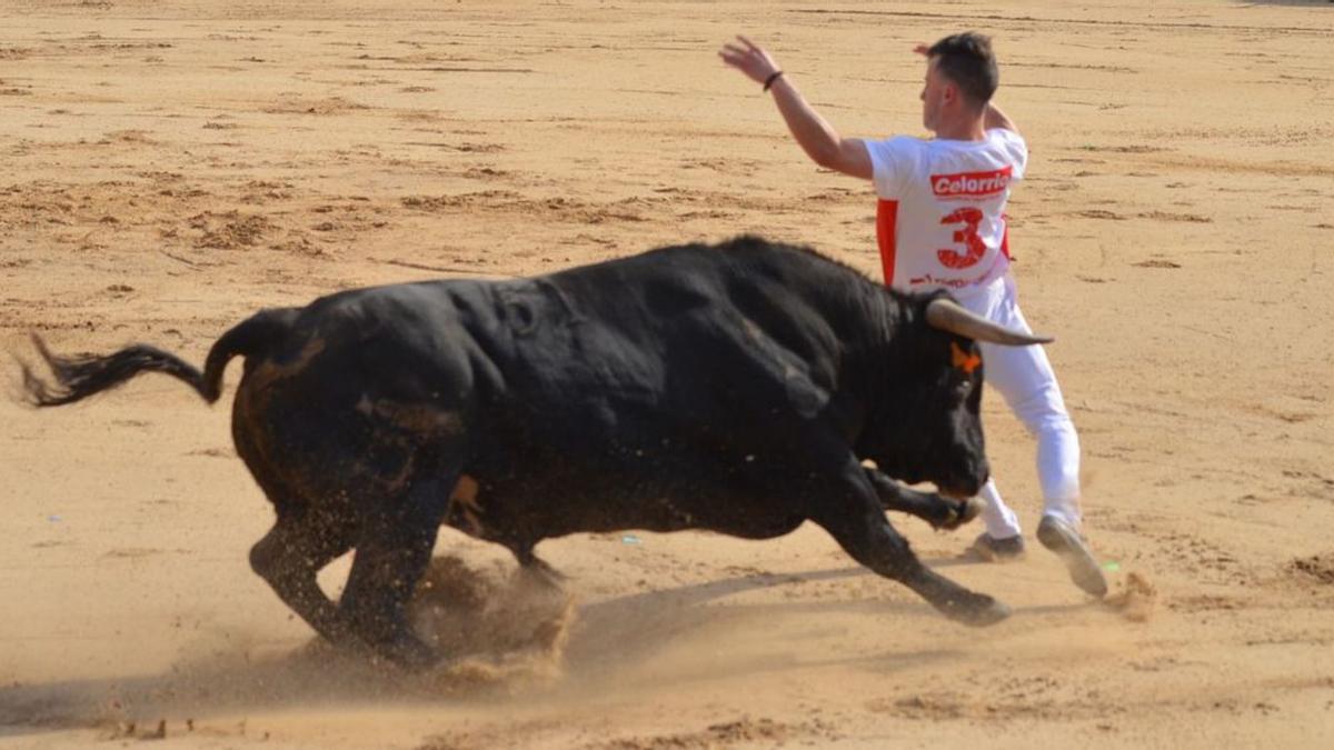 Una de las embestidas que logró persuadir el cortador. | E. P.