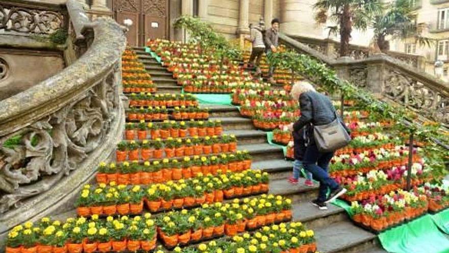 Conjunt floral a les escales de Sant Esteve d&#039;Olot.