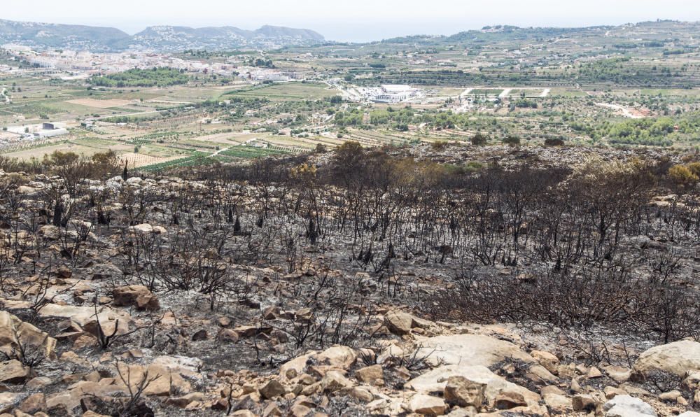 Extinguido el incendio de Teulada y Benissa tras quemar 3,5 hectáreas