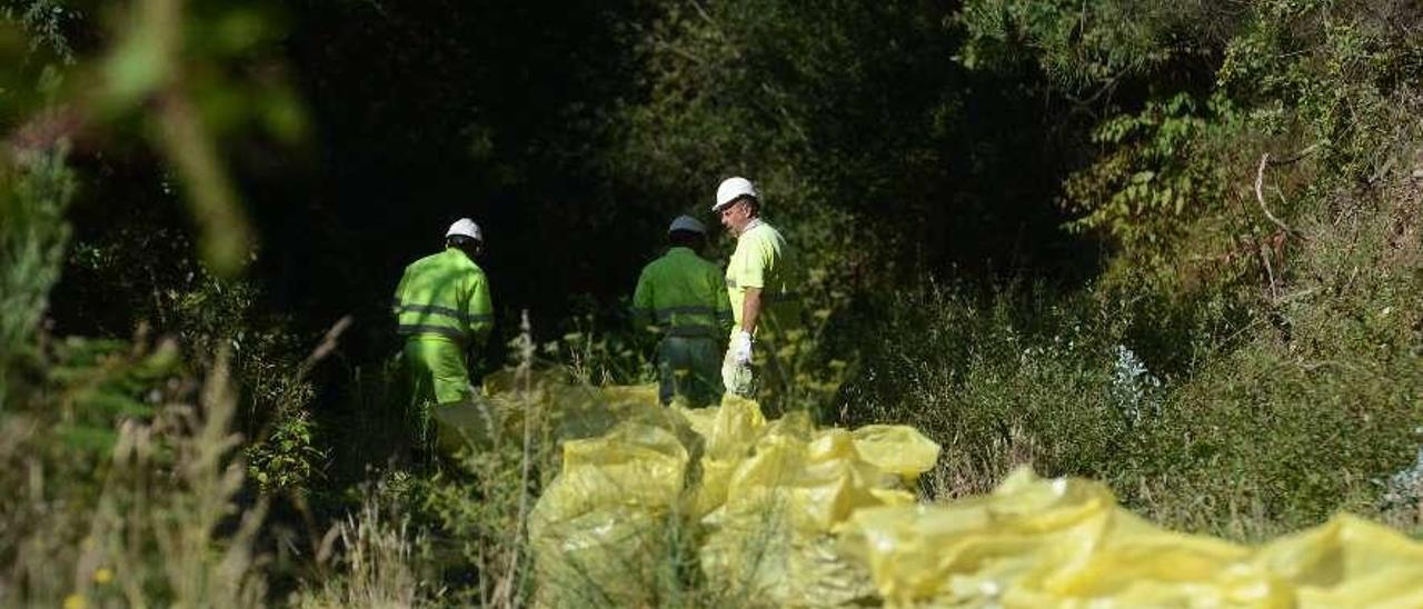 Operarios de Tragsa trabajan en la creación de la nueva senda para peatones y ciclistas. // Noé Parga