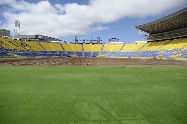 CAMPAÑA ABONADOS LAS PALMAS