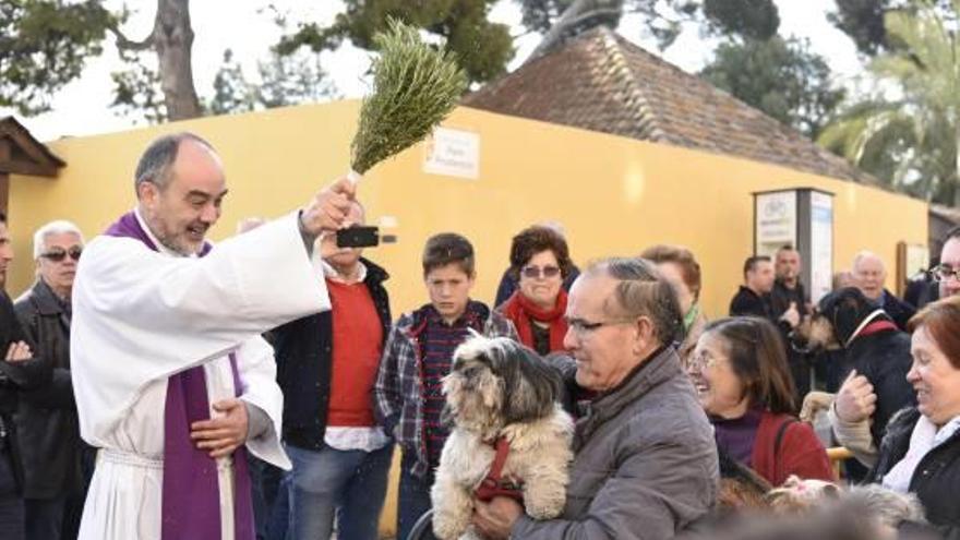 Torrent celebra la tradicional bendición de animales