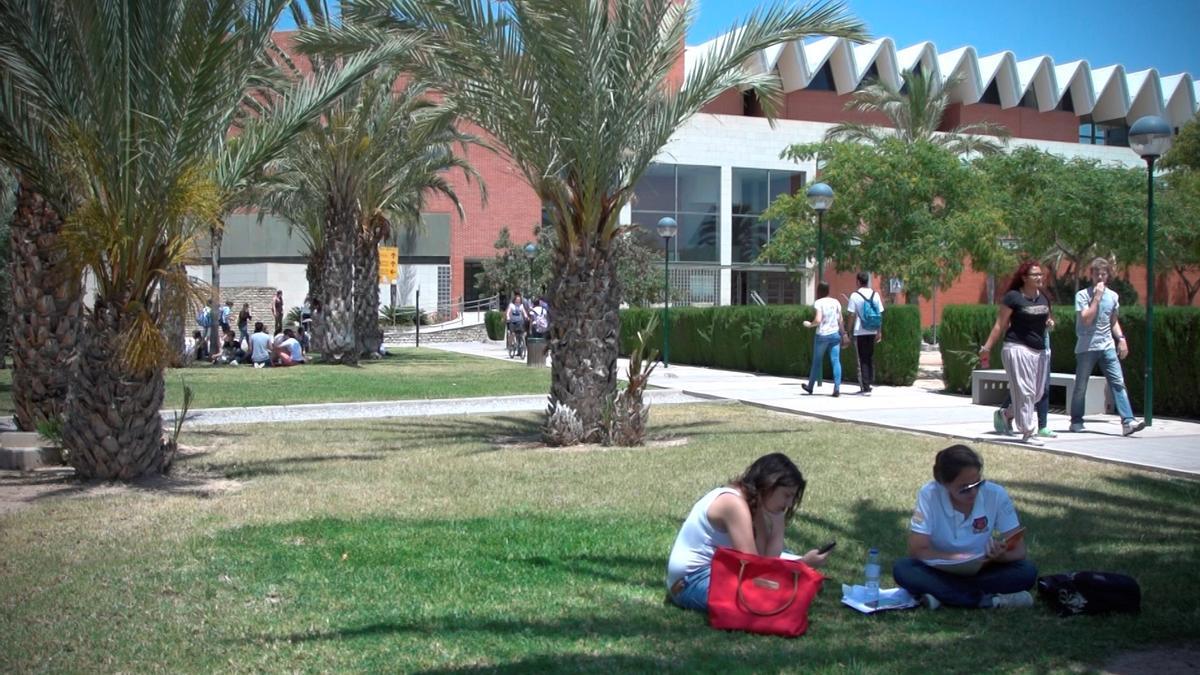 Campus de la UMH en Elche.