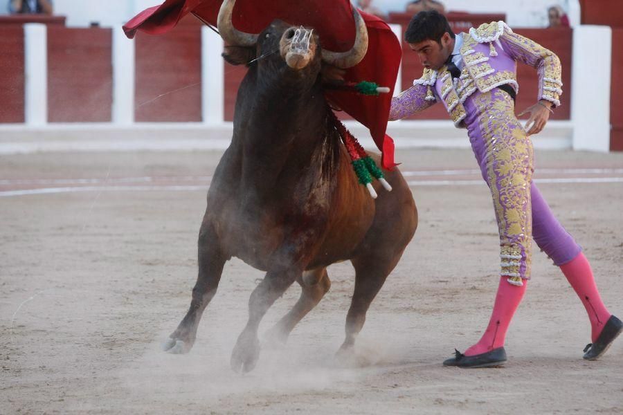 Toros en Zamora