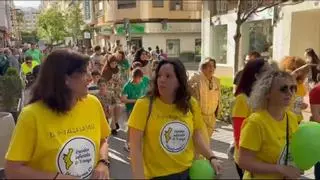 Alzira, Guadassuar y Carcaixent se unen en una multitudinaria marea por la escuela pública