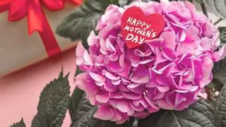 Lidl adelanta el Día de la Madre: estas son las flores que podrás comprar desde mañana (y por menos de 10 euros)