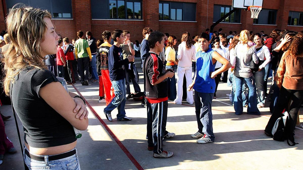 Castellano o valenciano: aluvión de peticiones en colegios e institutos de Alicante para cambiar la lengua base de los alumnos