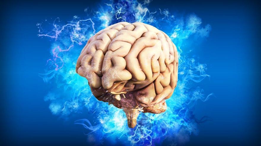 El cerebro humano es muy frágil, increíblemente suave y flexible.