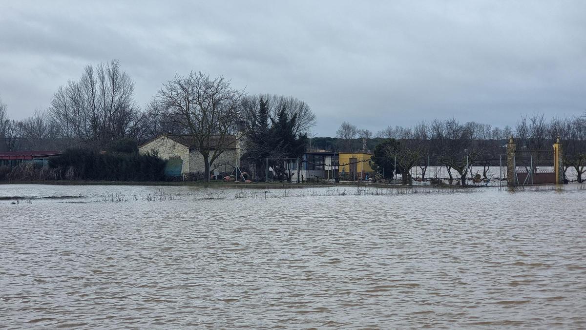 GALERÍA | La crecida del río Duero anega algunas zonas de Toro